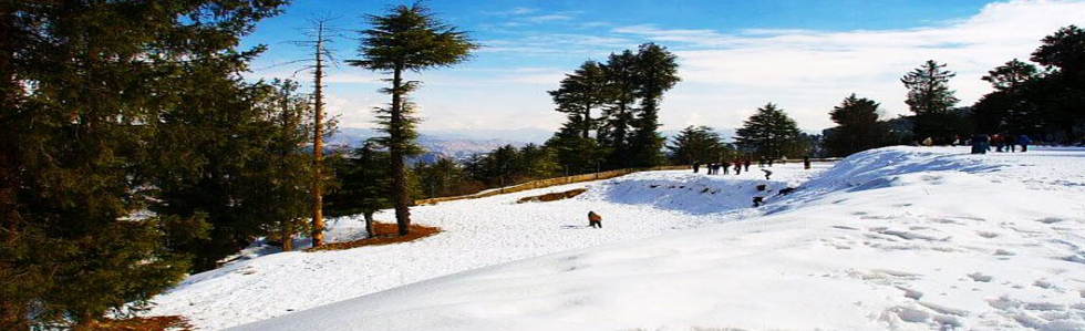 AITP / HP – 03 (By Car) 6 Nights / 7 Days Delhi - Shimla 2N – Chandigarh 1N – Delhi, Information