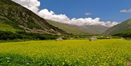 delhi shimla manali Dharamshala dalhoisie chandigarh Tour Package