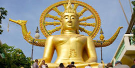 Buddhist Tours in India