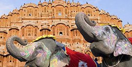 Holiday packages from Delhi