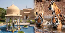 Tour operators in India