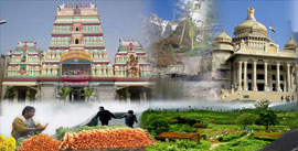 Tour operators in India