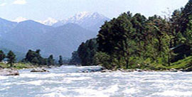 Honeymoon packages in Kashmir