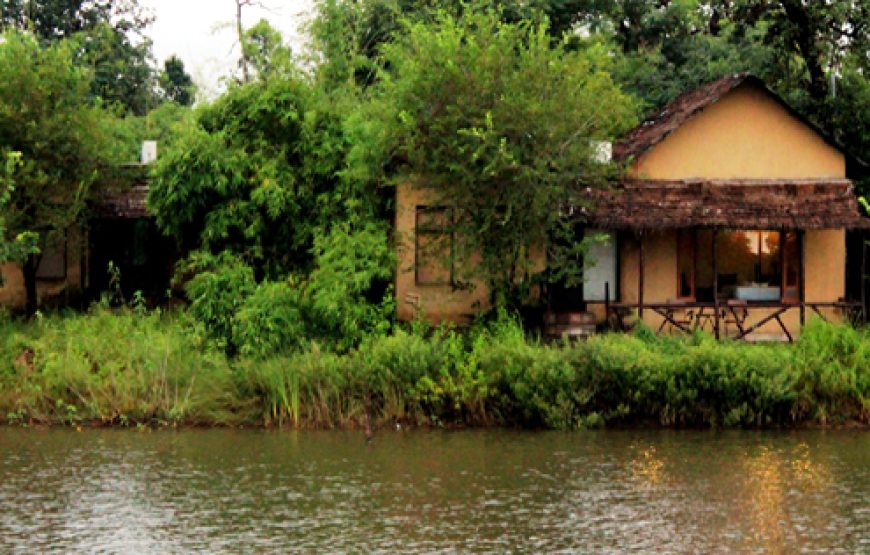 Tiger Lagoon Resort